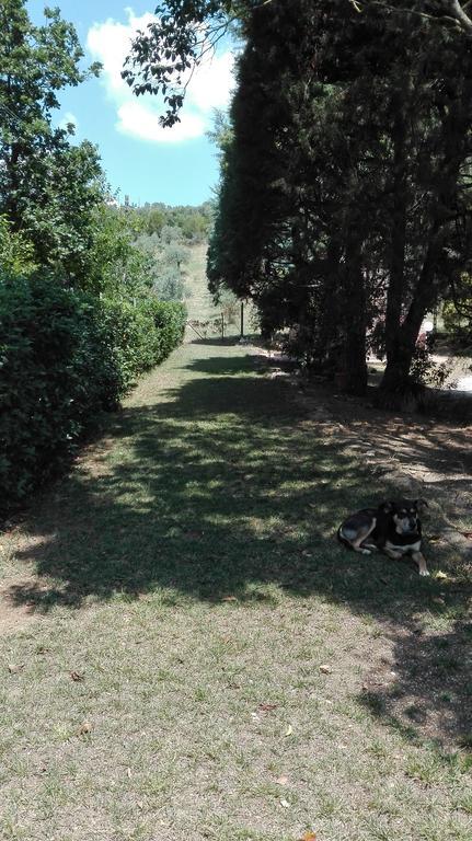 Agriturismo San Lino-Gilberto Massa Marittima Esterno foto