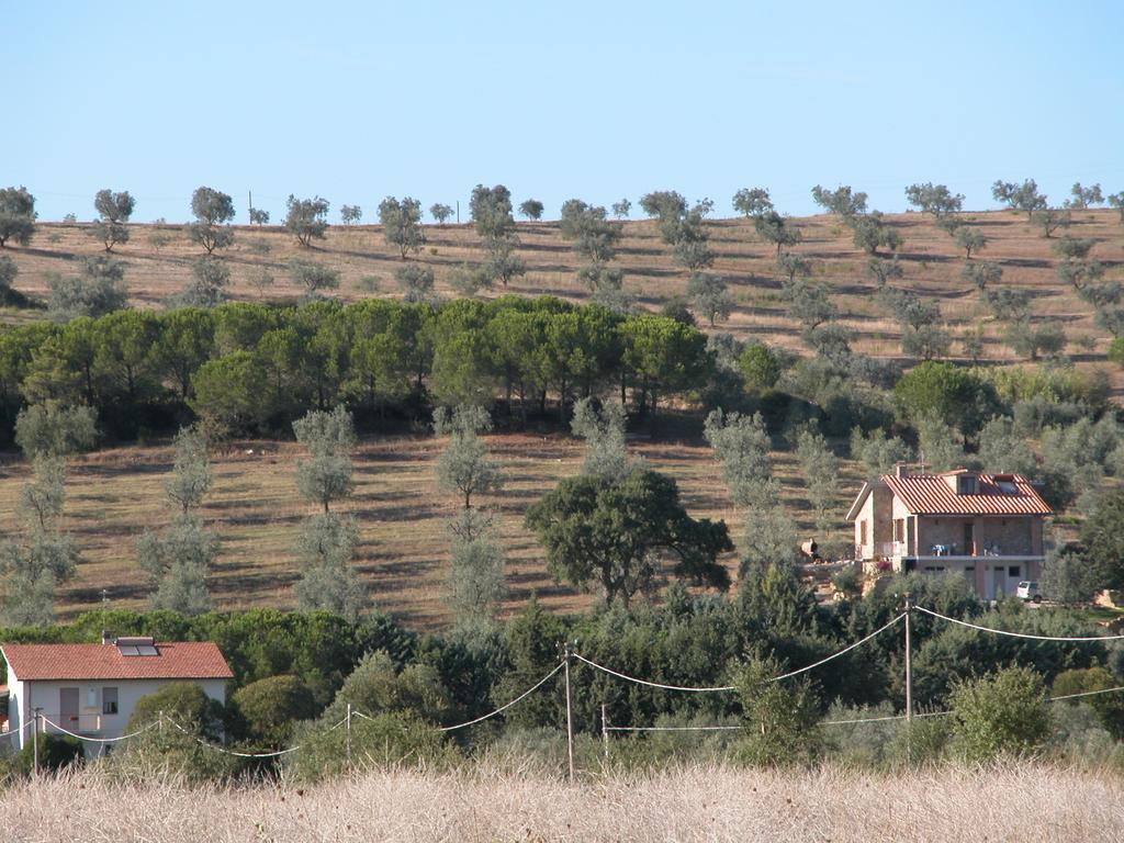 Agriturismo San Lino-Gilberto Massa Marittima Esterno foto