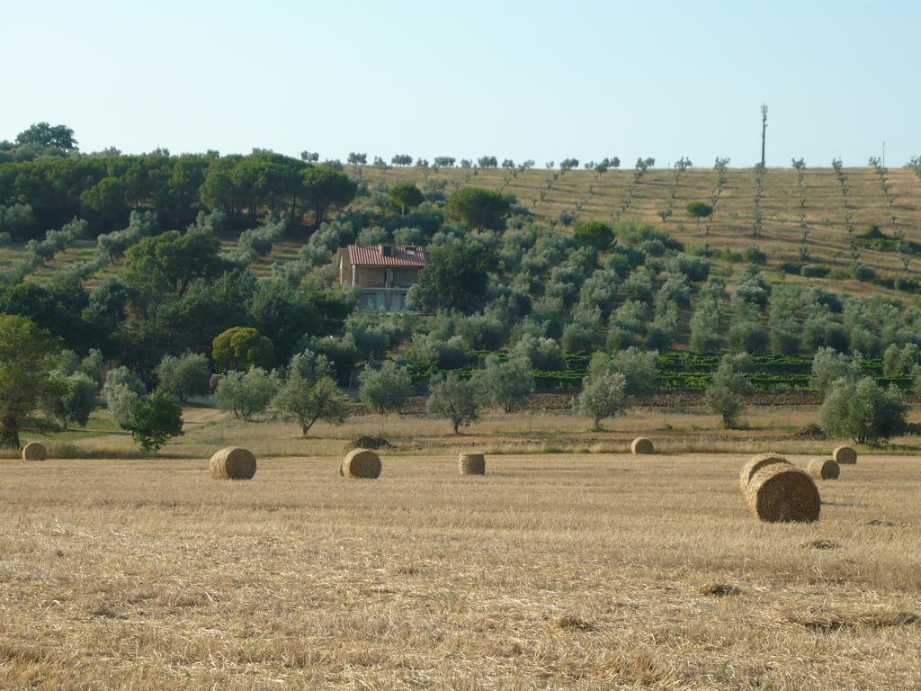 Agriturismo San Lino-Gilberto Massa Marittima Esterno foto