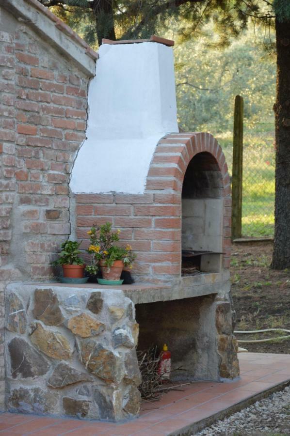 Agriturismo San Lino-Gilberto Massa Marittima Esterno foto